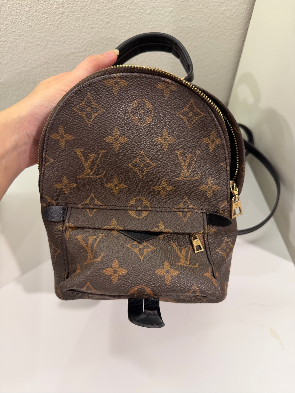 Louis Vuitton Monogram Mini palm Backpack